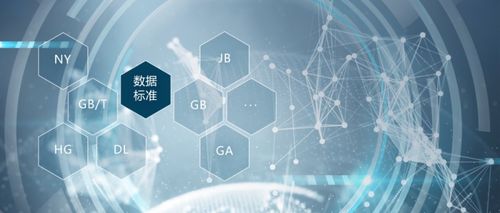 什么是數(shù)據(jù)標(biāo)準(zhǔn)？如何建設(shè)與管理？一篇文章讓你徹底搞懂?dāng)?shù)據(jù)處理